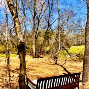 A bench in the middle of a field