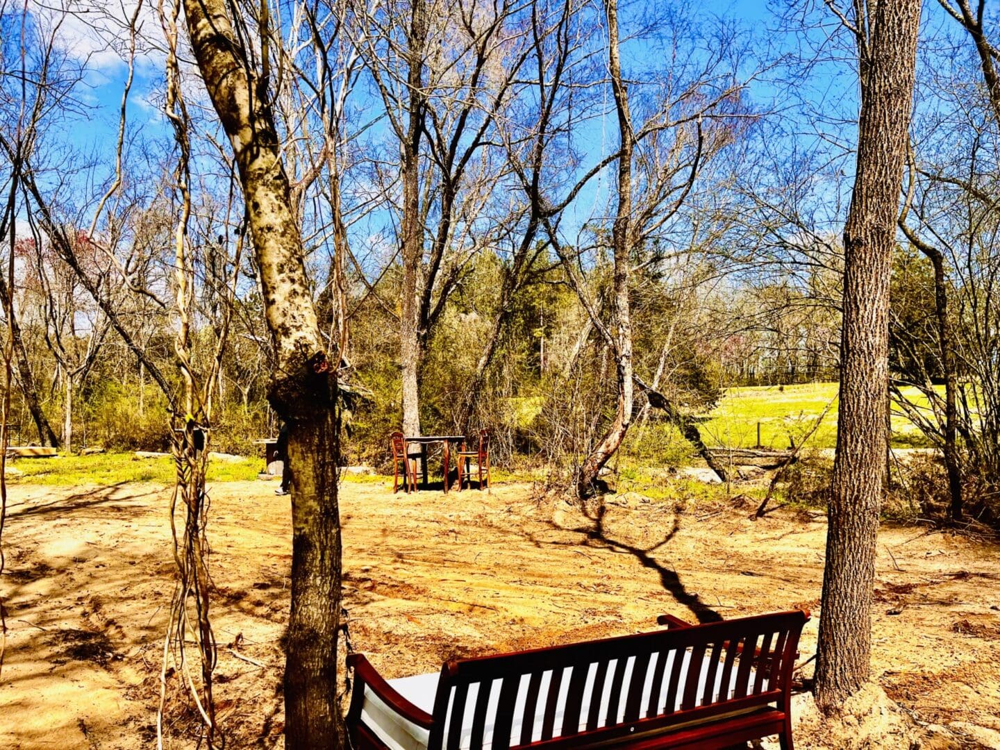 A bench in the middle of a field